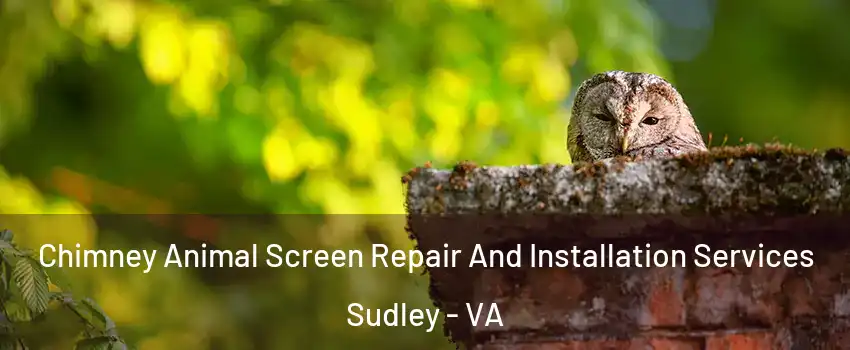 Chimney Animal Screen Repair And Installation Services Sudley - VA