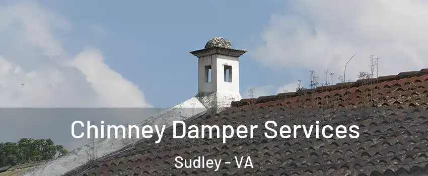  Chimney Damper Services Sudley - VA