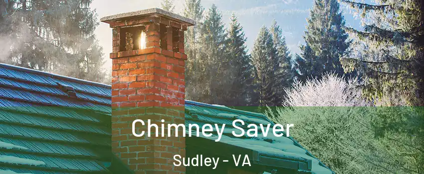  Chimney Saver Sudley - VA