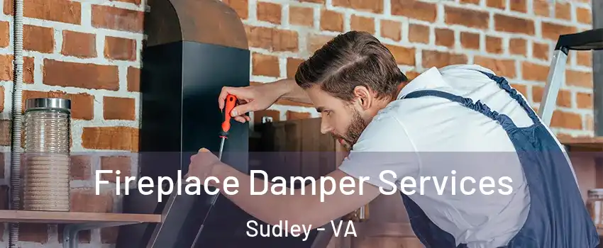  Fireplace Damper Services Sudley - VA