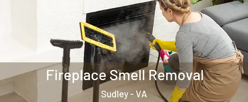  Fireplace Smell Removal Sudley - VA