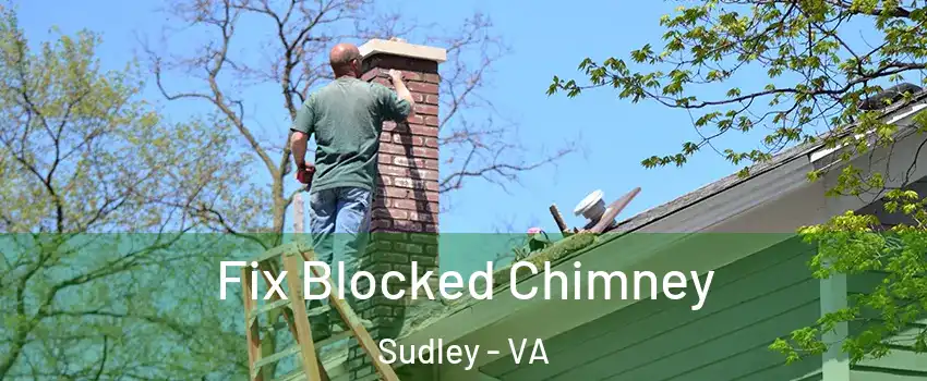  Fix Blocked Chimney Sudley - VA