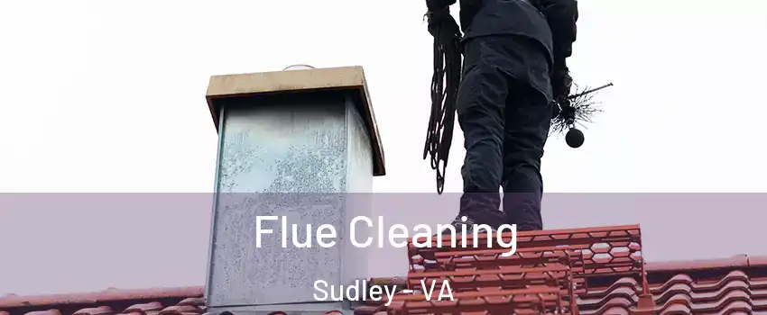  Flue Cleaning Sudley - VA