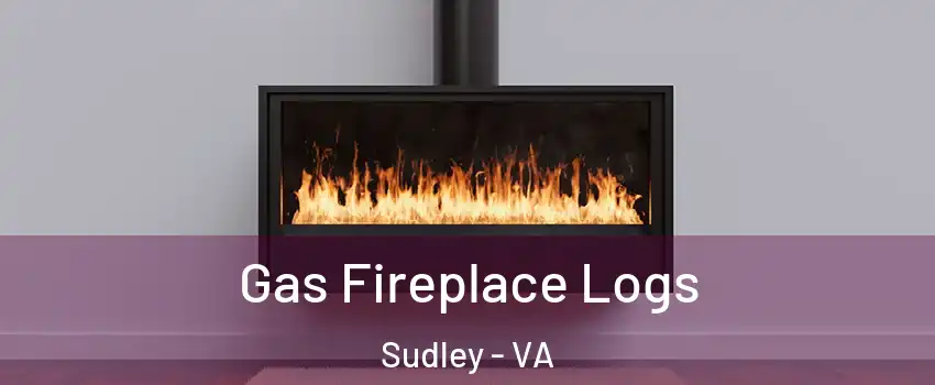  Gas Fireplace Logs Sudley - VA