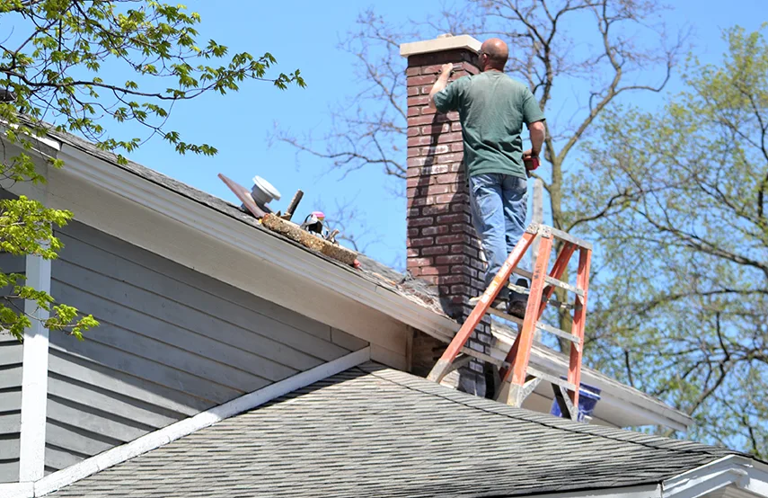 Chimney & Fireplace Inspections Services in Sudley, VA