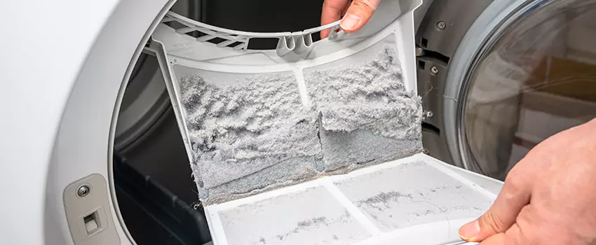 Best Dryer Lint Removal Company in Sudley, Virginia