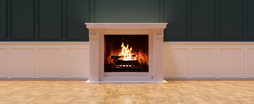 Napoleon Electric Fireplaces Inspection Service in Sudley, Virginia