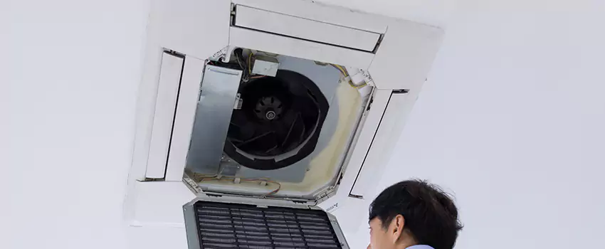 Benefits of Professional Air Duct Cleaning in Sudley, Virginia