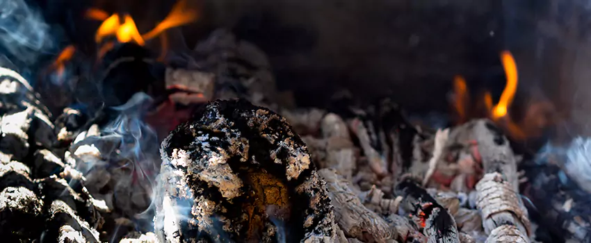 Creosote Removal Experts in Sudley, VA